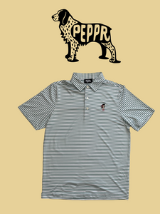 Peppr Men's Hampton Polo