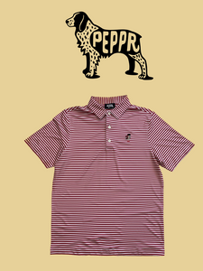 Peppr Men's Hampton Polo